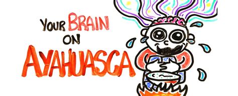 The Science of The Hallucinogenic Drug Ayahuasca.